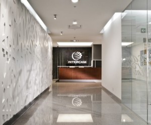Офис INTERCAM, Mexico City, SPACE
